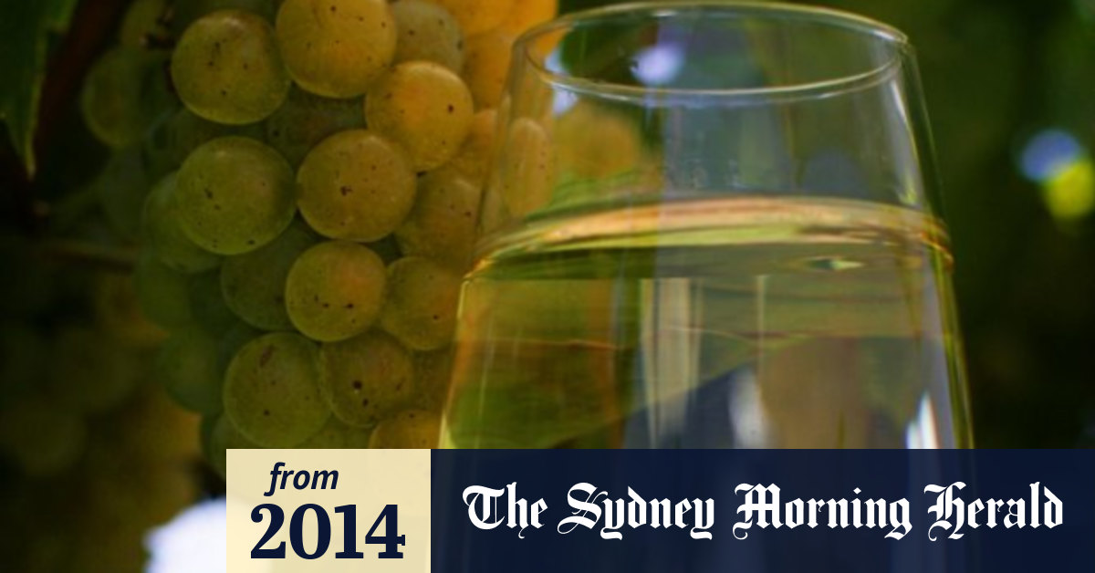 Chardonnay better than red wine in slowing weight gain and lowering cholesterol